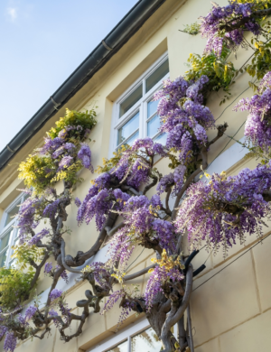 Spring Sales Tips for Selling Your Home Quickly