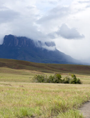 Why Do Some Lawyers Plateau While Others Continue to Grow?